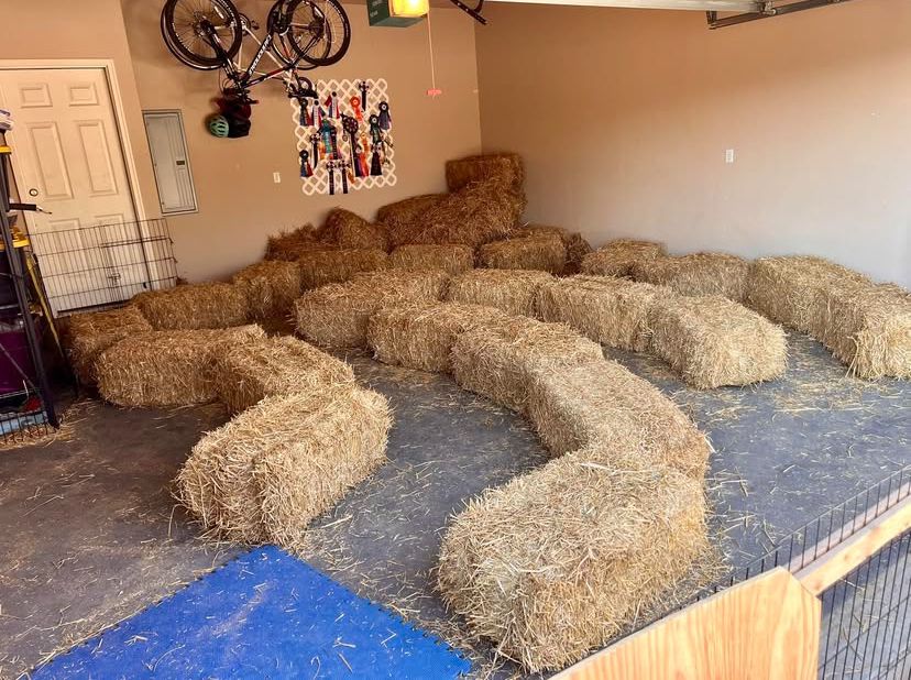 An example of a course in the process of being built